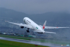 雨のJA734J