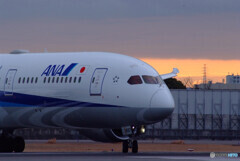 男の旅路✈Boeing 787-9 男の旅路✈Boeing 787-9
