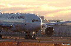 12月の旅路Ⅶ✈JAL 777