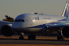 HARADAの旅人✈Boeing 787-8 Dreamliner