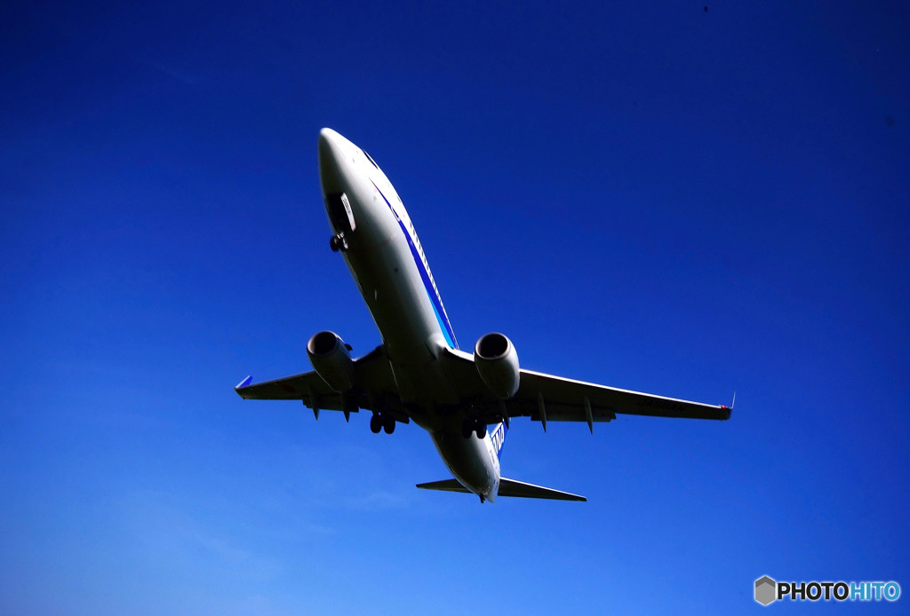 猛暑の空より・ANA