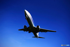 猛暑の空より・ANA