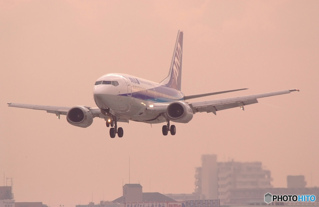 春よ来い！DOLPHIN☆JET