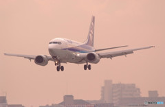 春よ来い！DOLPHIN☆JET