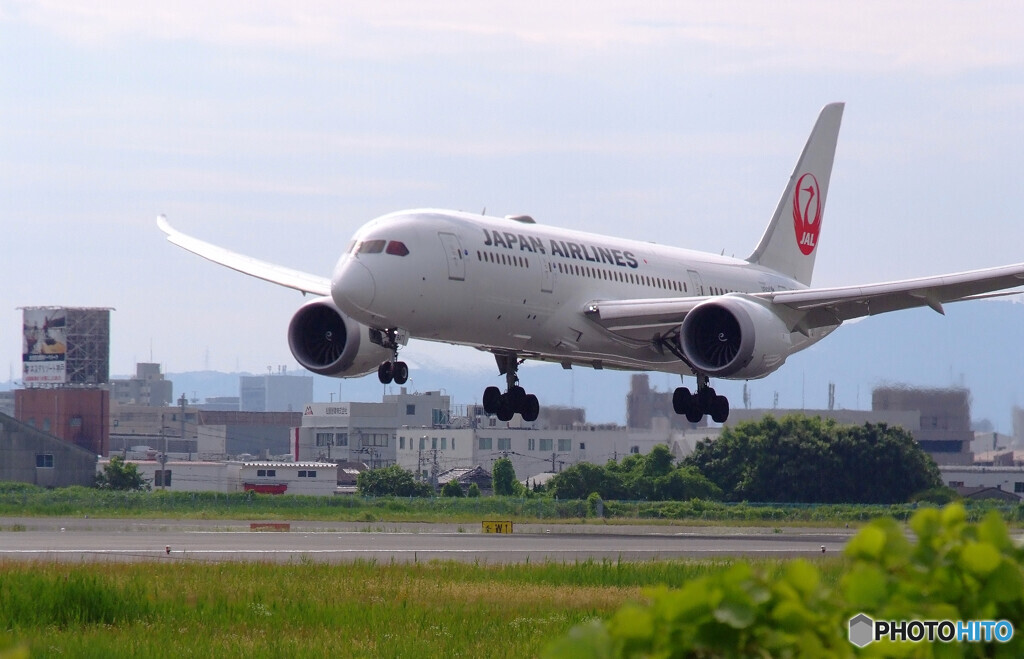 俺の朝✈Dreamliner