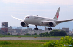 俺の朝✈Dreamliner