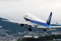 7月の翼・ＡＮＡ