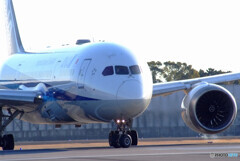 2月の空へ✈787-8 Dreamliner