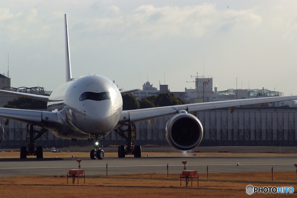 January TravelerⅦ★A350-900