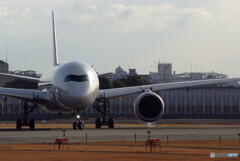 January TravelerⅦ★A350-900