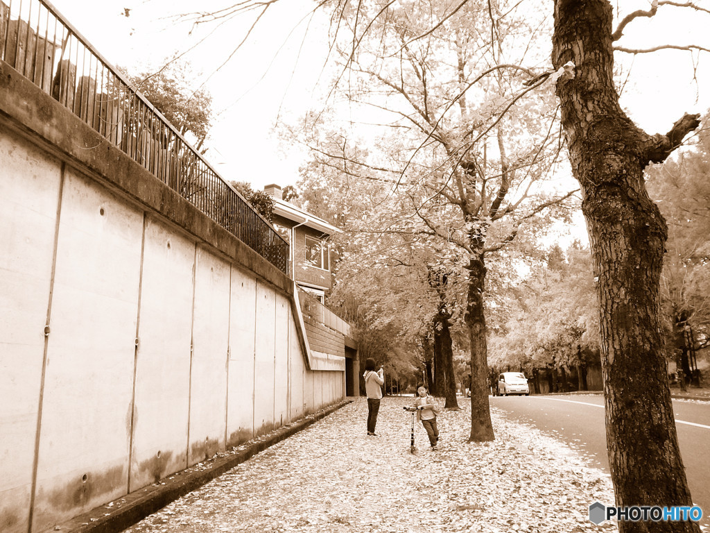 紅葉遊び・三彩街道