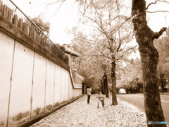 紅葉遊び・三彩街道