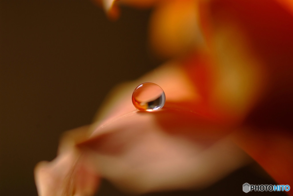 夢路・恋しい惑星