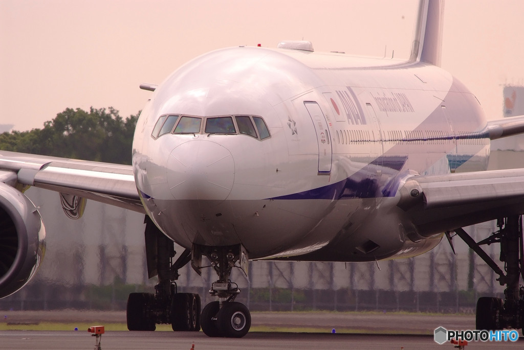 Morning Bird・JA710A