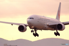 Beautiful Morning・777