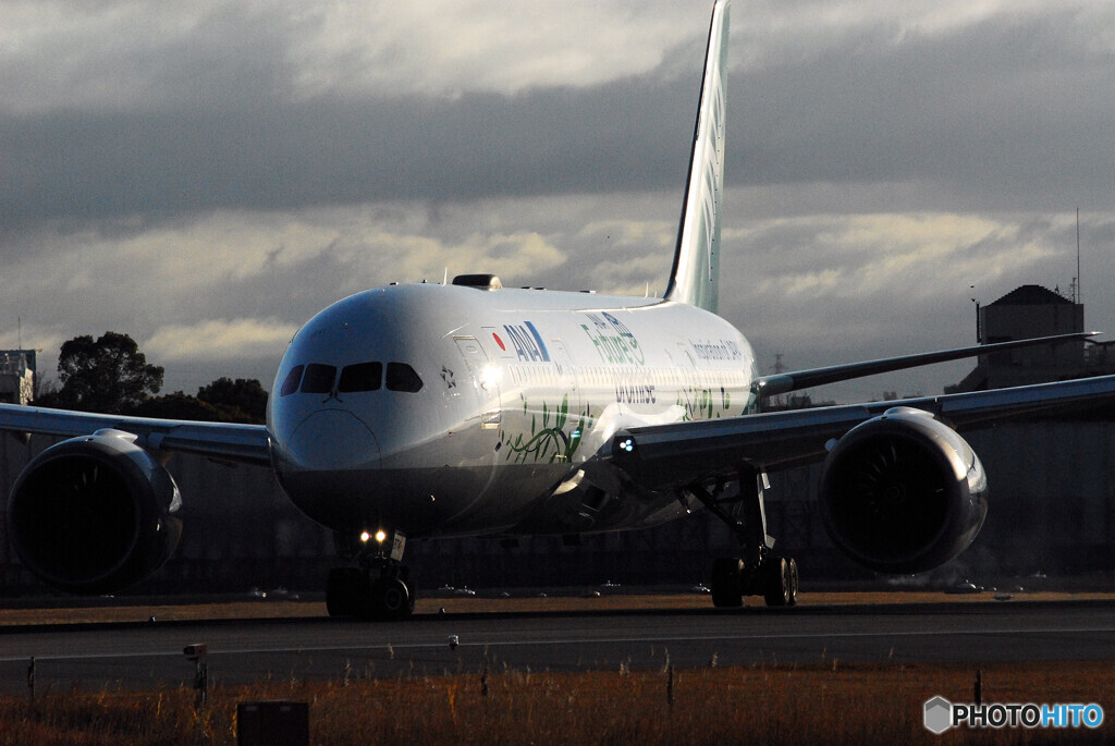 Christmasの朝✈JA874A