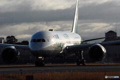 Christmasの朝✈JA874A