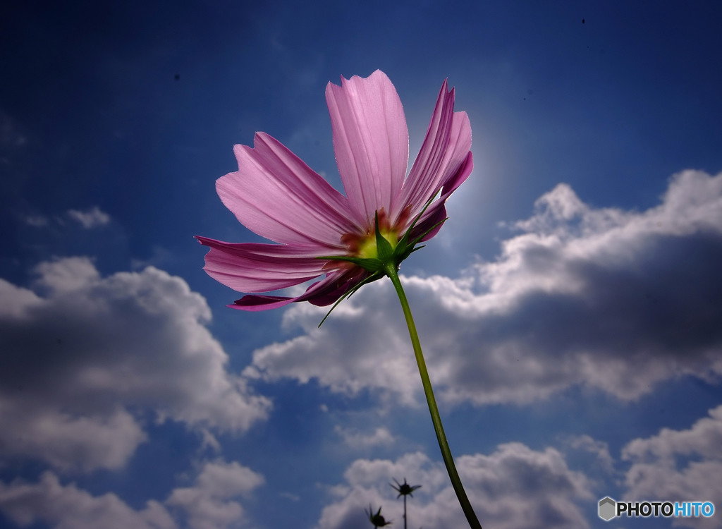 Save the Last Dance for Me