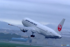 行くぞ！Boeing 767-346/ER