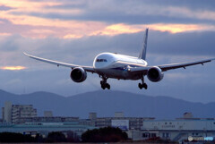 12月の旅路Ⅸ✈想い