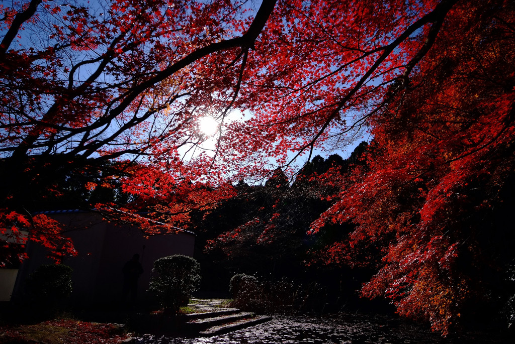 紅葉の中で・水車小屋