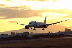 January morning♪Boeing787-8