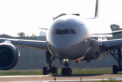 孤高の翼Ⅲ✈Dreamliner 