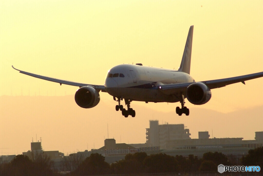 会いにいこうⅢ✈ANA Boeing787-8