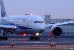 Morning Light✈ANA787
