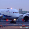 Morning Light✈ANA787