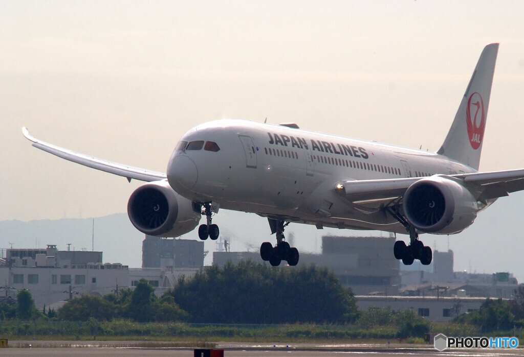 Welcome to ITAMI✈787-8