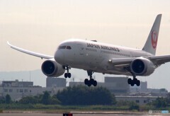 Welcome to ITAMI✈787-8