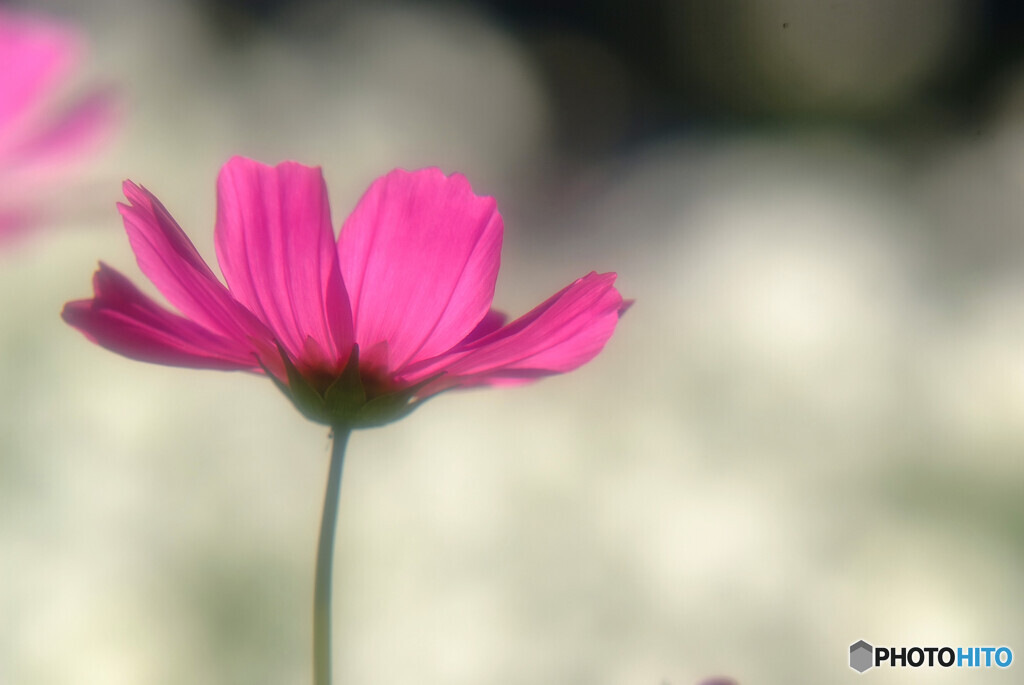 Endless StoryⅢ❁宴