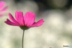 Endless StoryⅢ❁宴