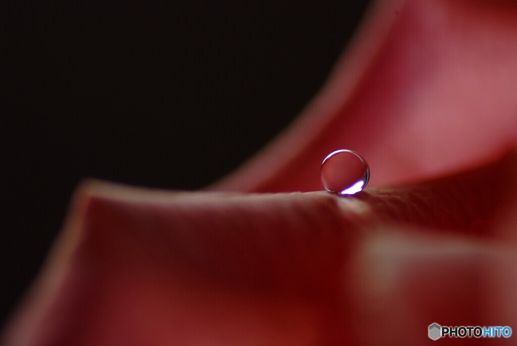 殷春の惑星✿宴