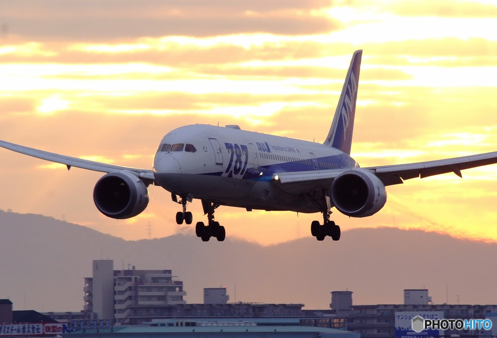 永遠に美しく・787