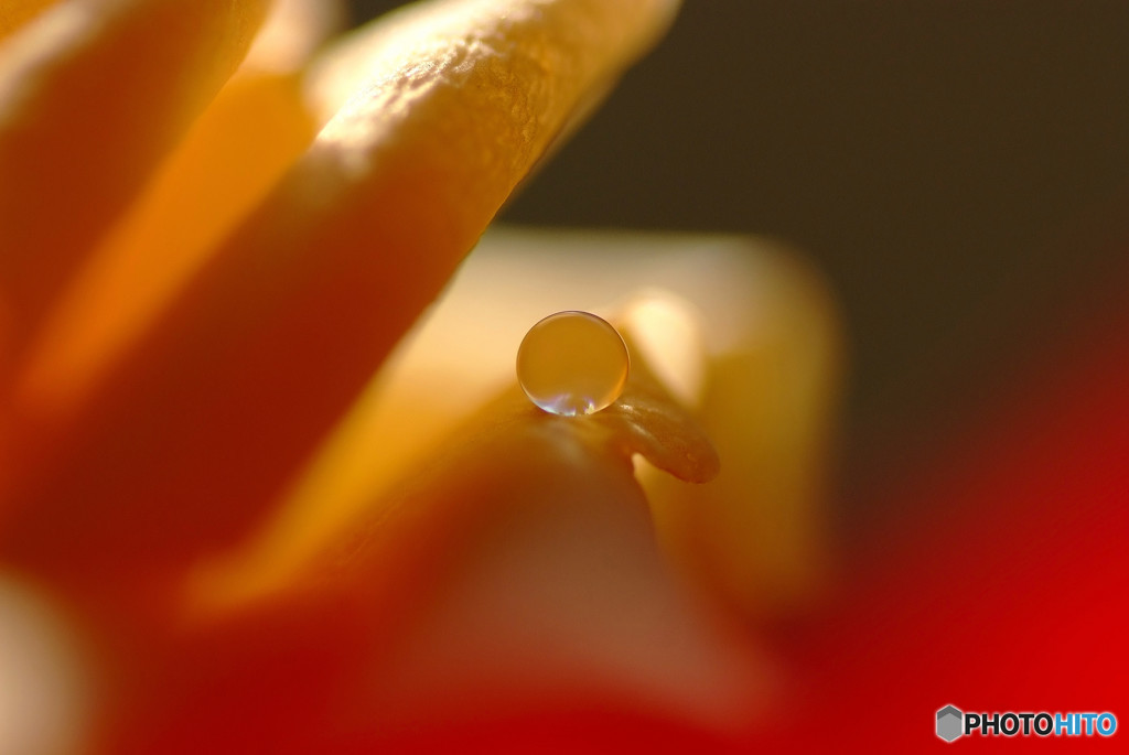静けさの中に・雫