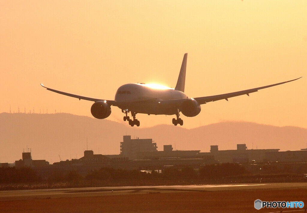 Morning Shot✈787
