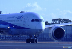 蒼の時代へ✈Dreamliner