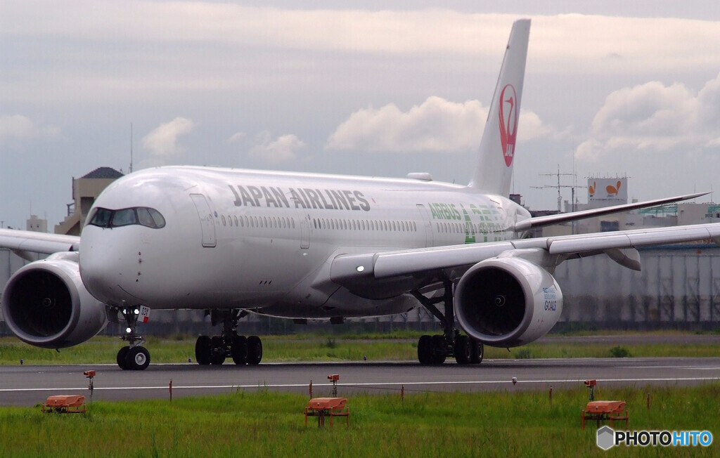 Endless SummerⅢ✈JA03XJ