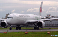 Endless SummerⅢ✈JA03XJ