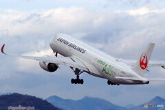 Nice AfternoonⅤ★Airbus350-900