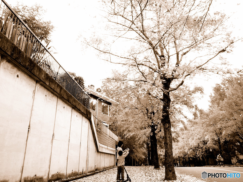 紅葉の下で・親子