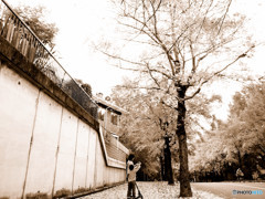 紅葉の下で・親子