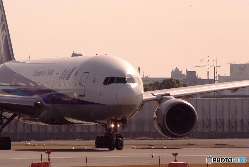 春色に魅せられて✈Boeing 777-200