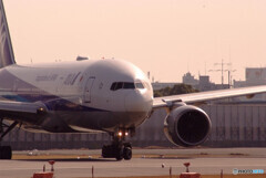 春色に魅せられて✈Boeing 777-200