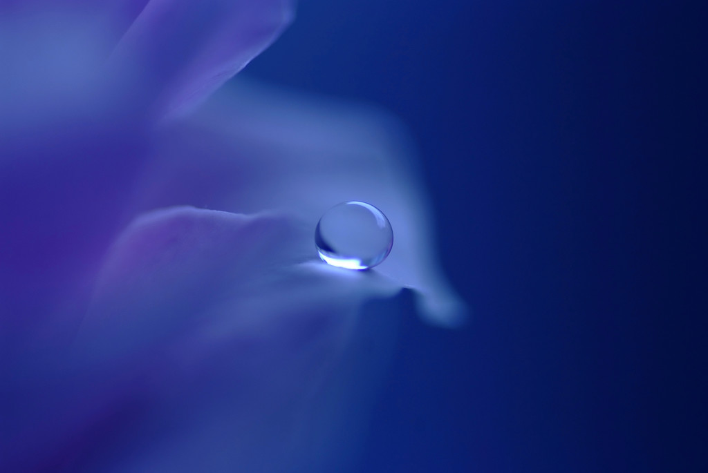 蒼の季節