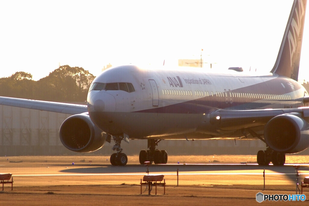 Good Morning☆Boeing 767