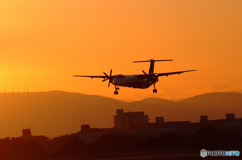 Morning Show Time✈HARADA