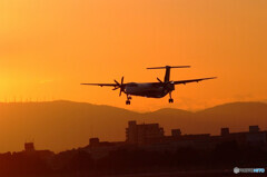 Morning Show Time✈HARADA